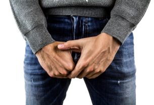 penis
